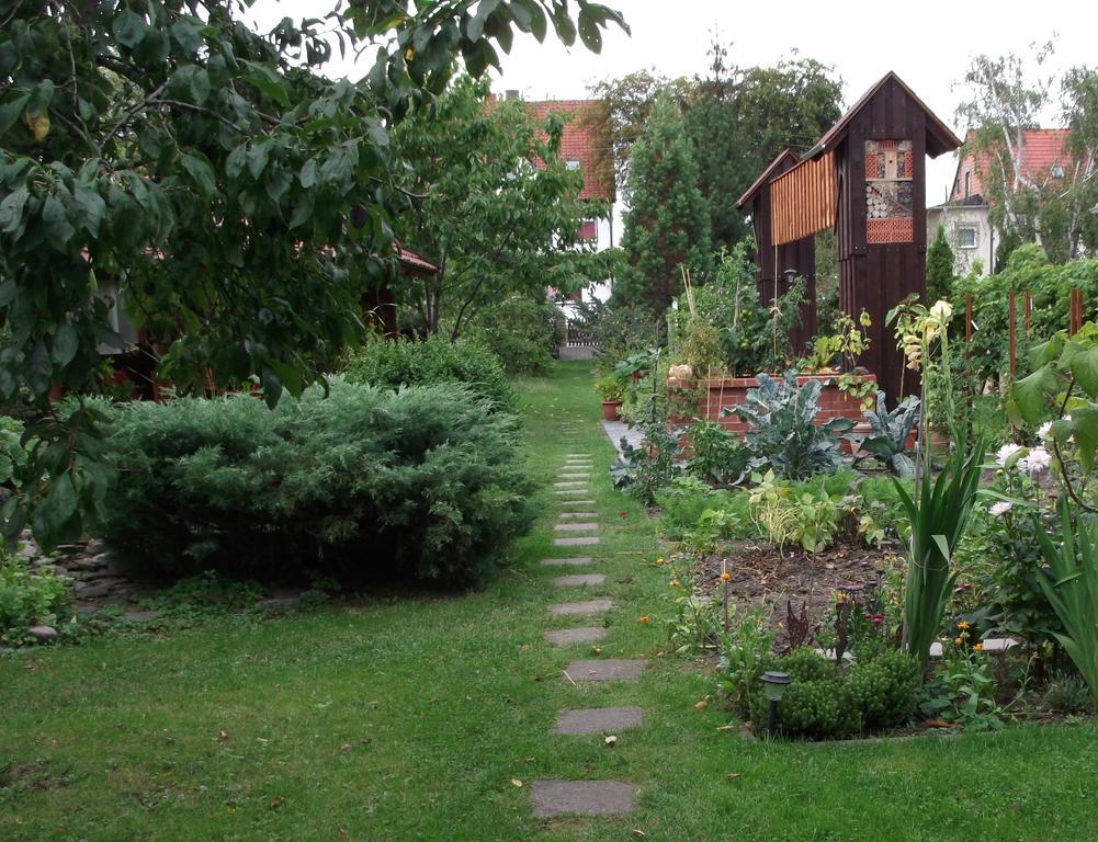 Harzgenuss Apartment